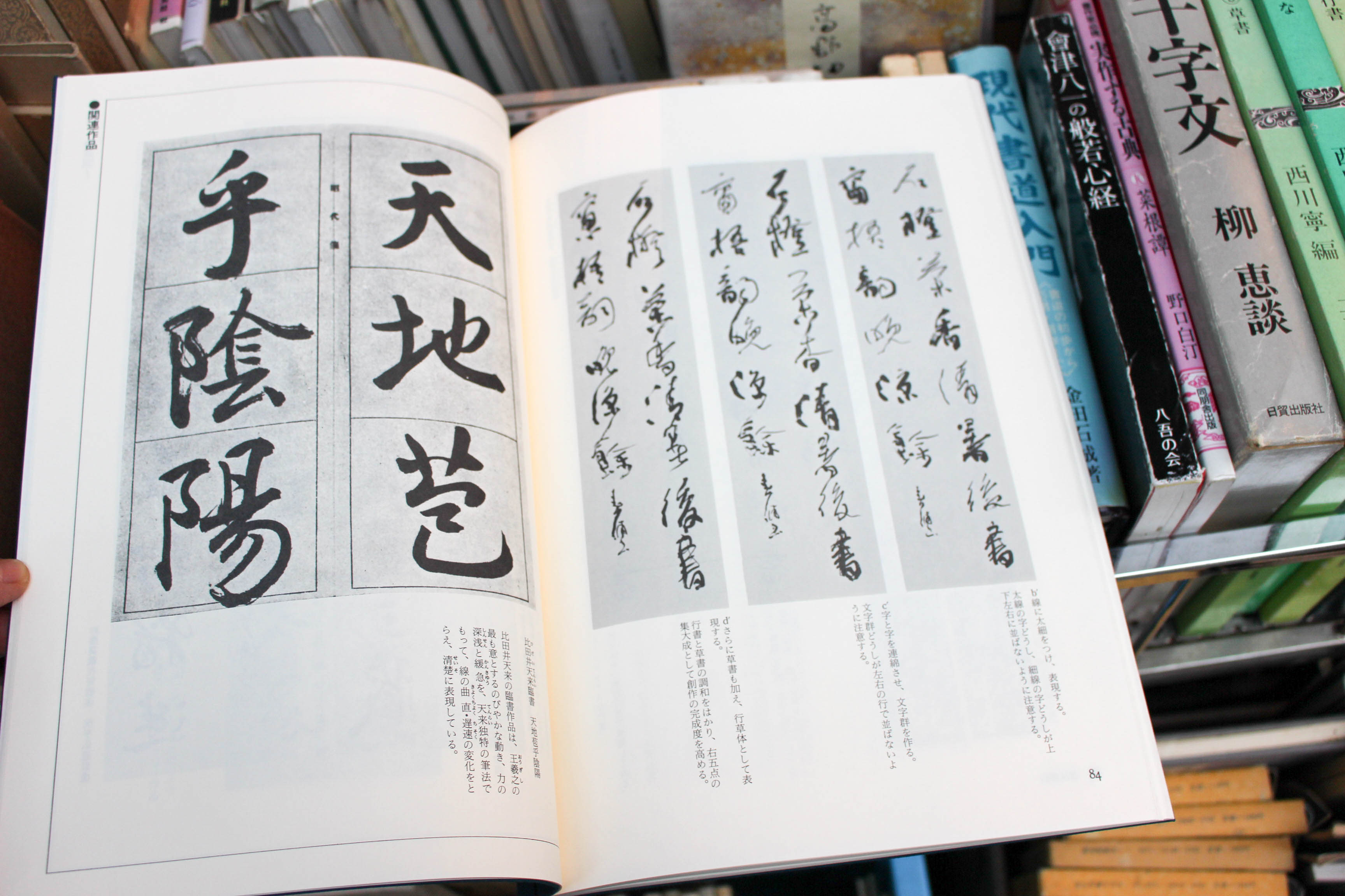 書学大系』ばら売りしてます | 悠久堂書店 