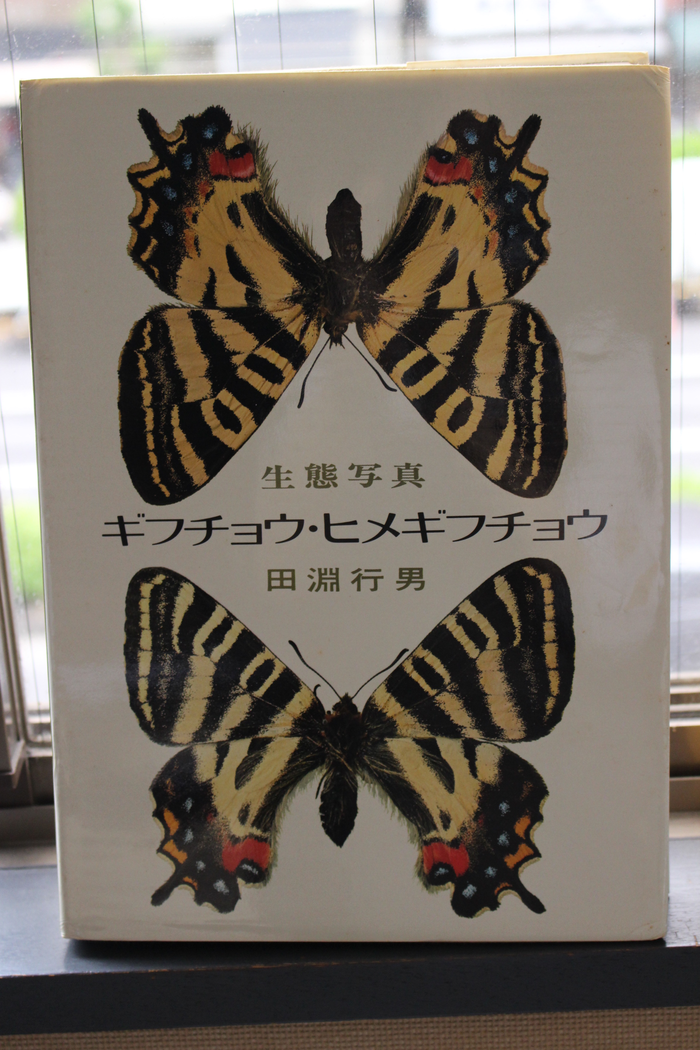 ヒメギフチョウ 生態写真 田淵行男 誠文堂新光社 - 本、雑誌