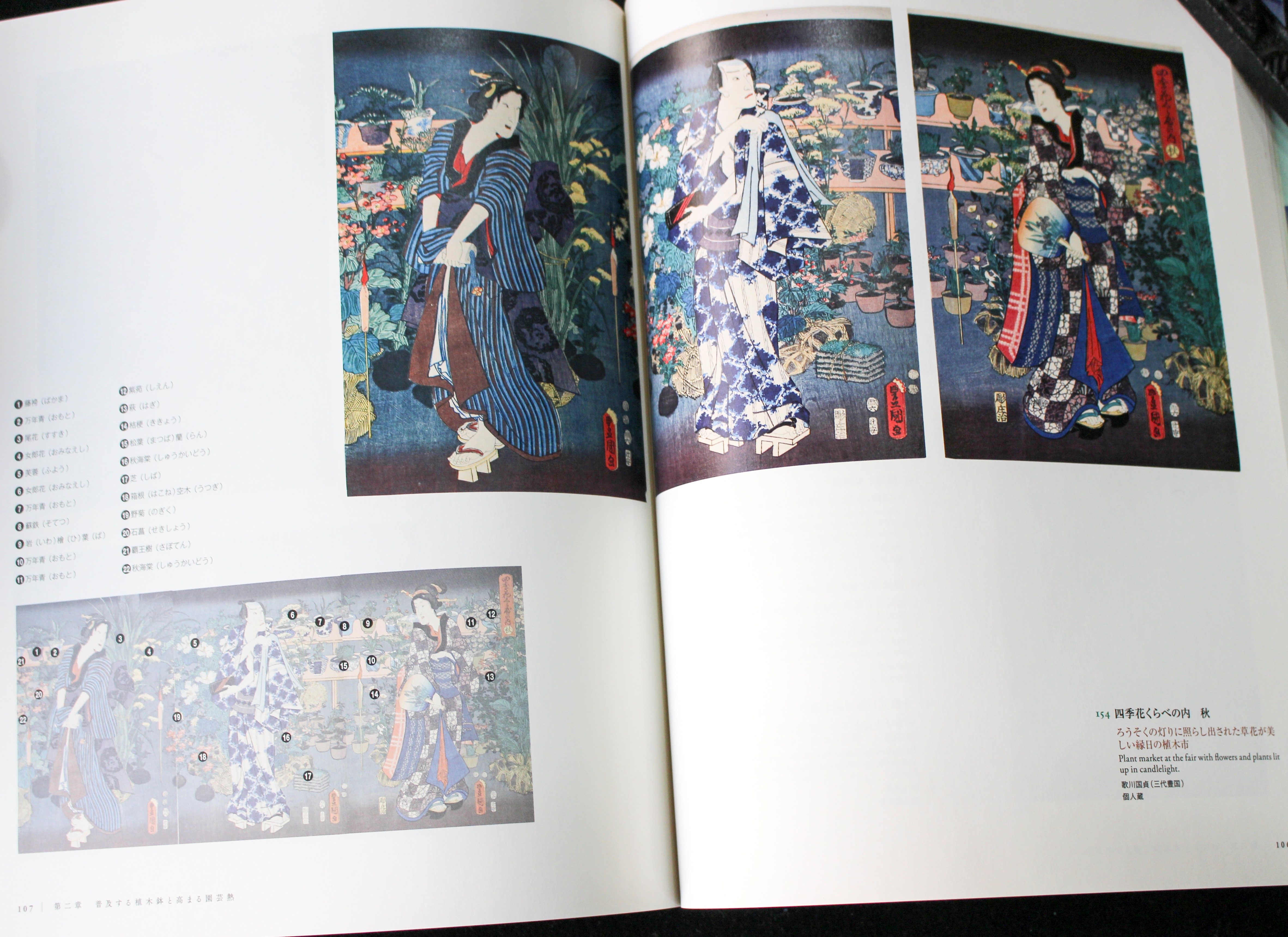 展覧会図録/花開く 江戸の園芸 江戸東京博物館 | #site_title | サイト名