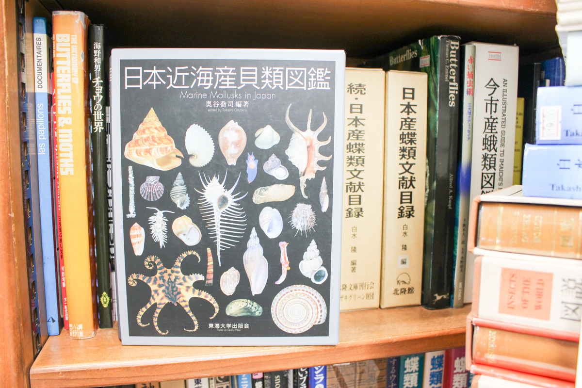 日本近海産貝類図鑑と鍋 | 悠久堂書店