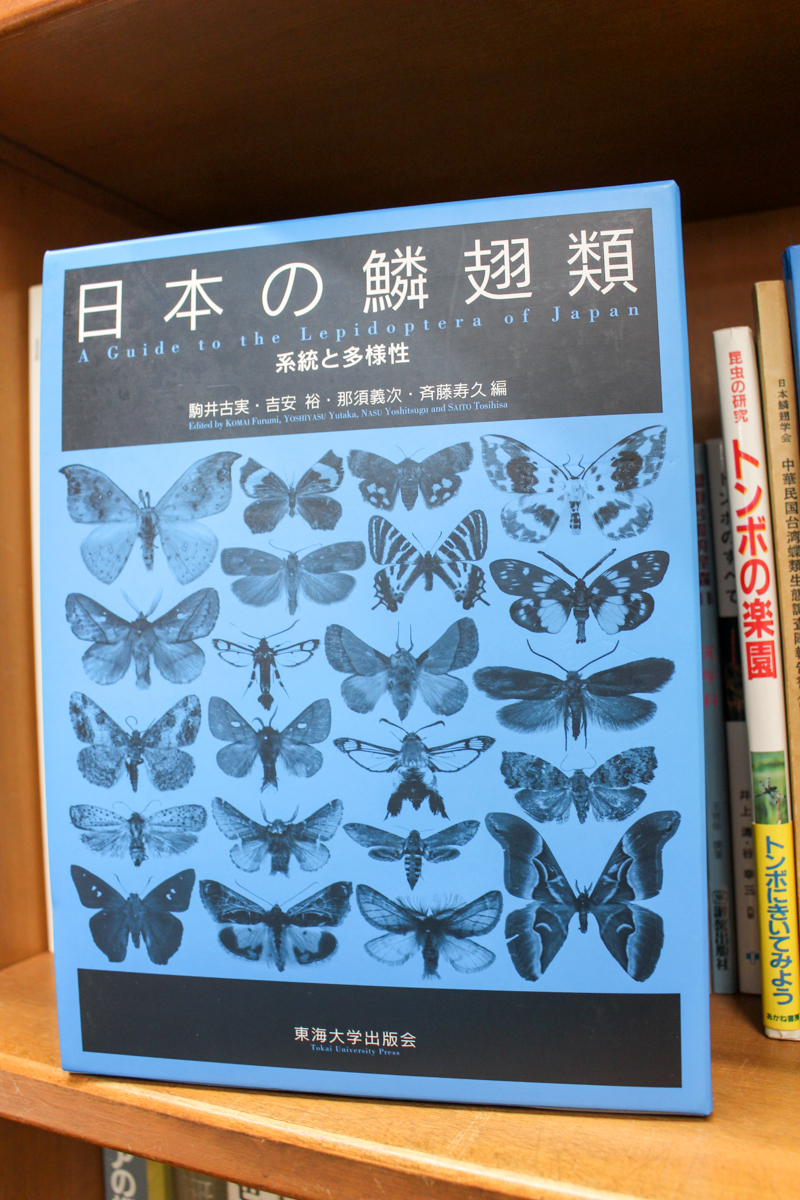 専門書日本近海産貝類図鑑 東海大学出版会 希少 - 自然科学と技術